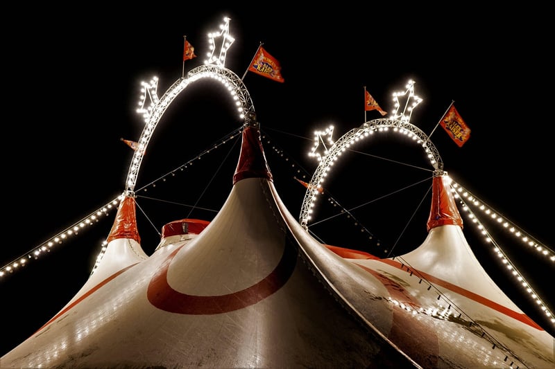 Enchanted Carnivals